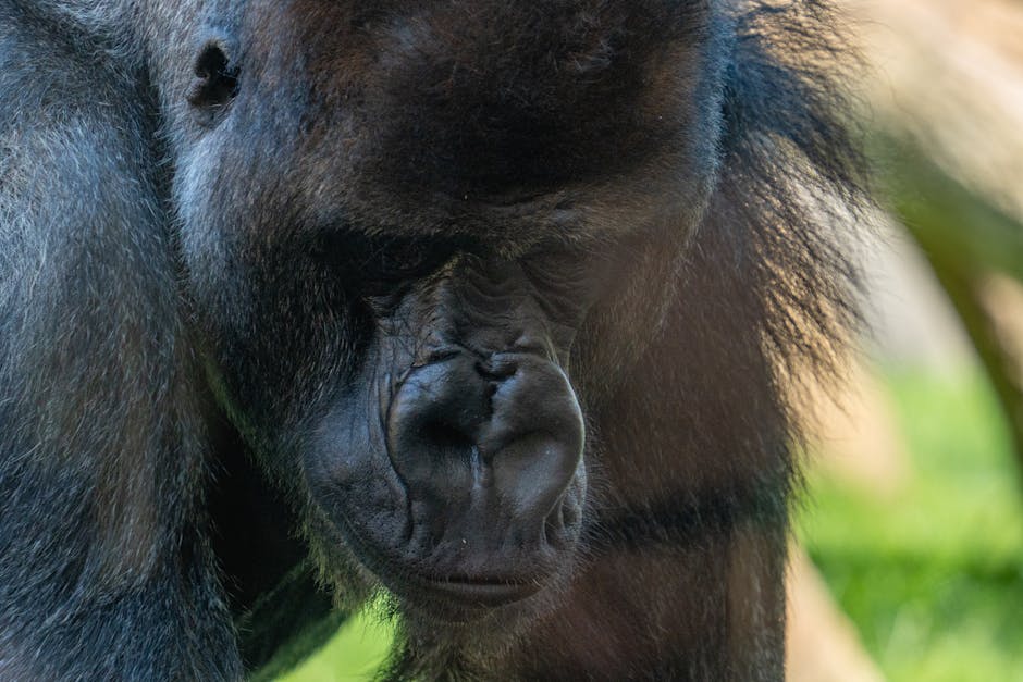 radiofrecuencia facial Valencia